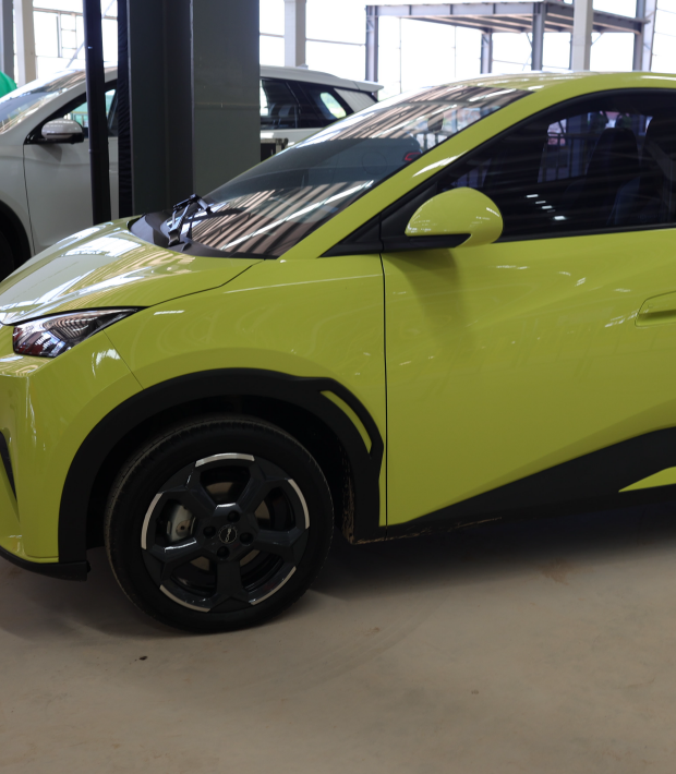 byd-visita-case-02