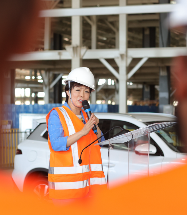 byd-visita-case-09
