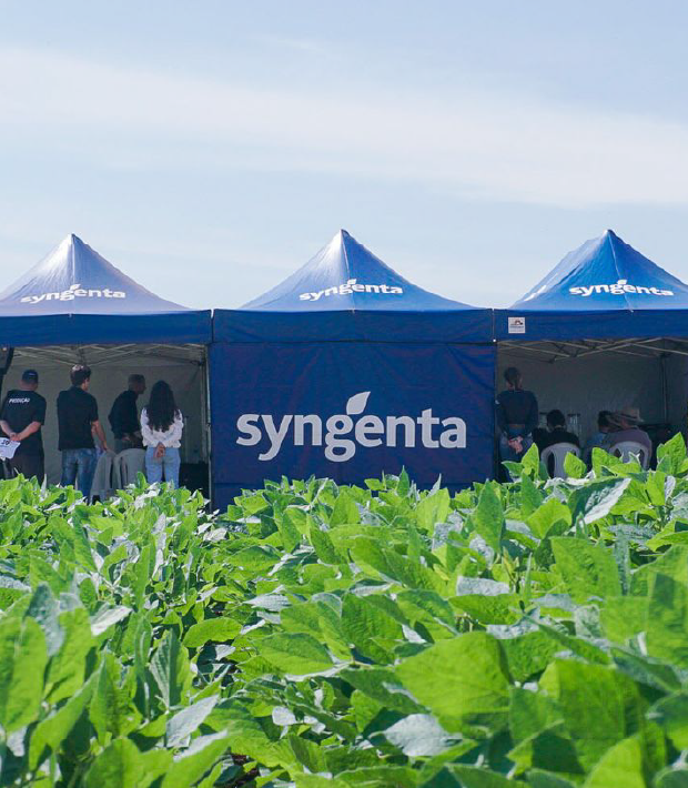 case-syngenta-03