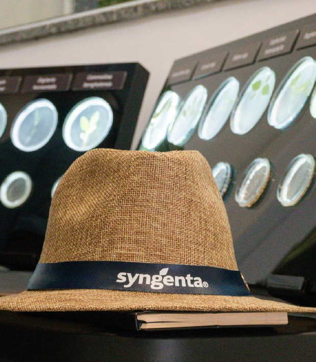 case-syngenta-10